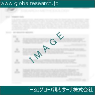 グローバルリサーチ調査資料のイメージ